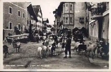 Ziegen, Heimkehr von der Weide, Mittenwald, * ca. 1930