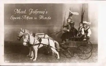 Zirkus Mad. Johnnys Sport- Affen und Hunde Minipferde,* ca. 1930