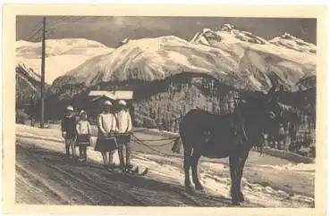 Maultier mit Skigespann in der Schweiz * ca. 1910