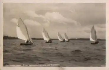 Segelboote auf Steinhuder Meer, Rennjolle, Echtfoto * ca. 1950