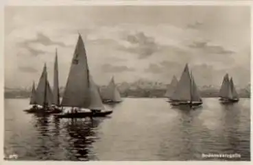 Bodenseeregatta Segelboote Echtfoto * ca. 1950