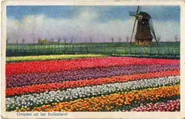 Windmühle in Holland o 5.5.1912