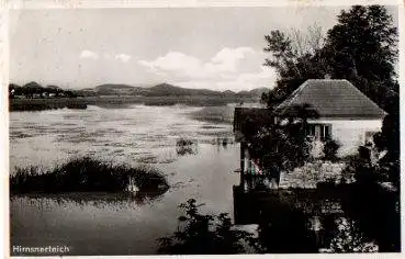 Hirnsnerteich bei Leipa o ca. 1930