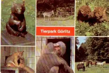 Görlitz Zoo Bären, Pferde, Affen, Katzen, gebr. ca. 1970