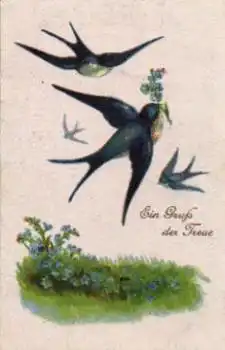 Schwalben Vergissmeinnicht gebr. 3.6.1920