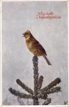 Fink Vogel Tannenbaum o 30.2.1919