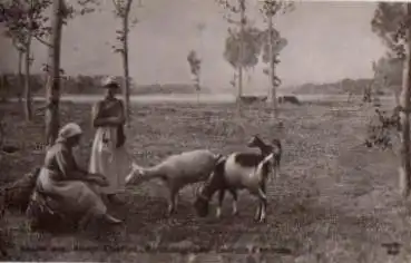 Frau mit Ziegen stricken Handarbeiten * ca. 1920