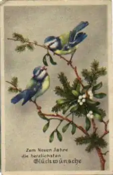 Meisen Vögel in Tannenzweig Künstlerkarte o 20.1.1945