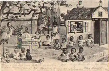Störche mit Kindern Storchs Kinder-Nähr-Mehl Werbekarte o 6.9.1902