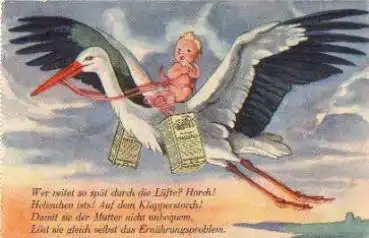 Storch mit nacktem Kind Werbekarte Maizena gebr. ca. 1920