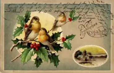 Vogel in Ast sitzend Prägekarte o 31.12.1910