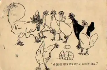 Hühner Vögel Künstlerkarte TK. o 3.8.1911
