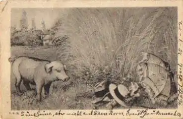 Schweine auf Wiese von Hüten und Sonnenschirm, o 26.1.1902