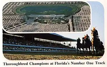 Pferderennbahn, Thoroughbred, Florida * ca. 1960