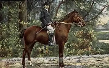 Pferde Reiter o 21.7.1909