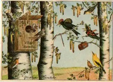 Amsel, Spatz, Rotkelchen, Künstlerkarte G. Lambertz, o 22.1.1937