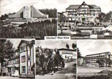 Pferdekutsche in Oberhof o 21.6.1982