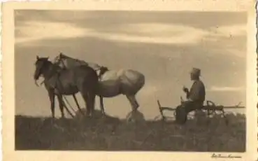 Landwirtschaft Pferde vor Pflug mit Bauer o 10.9.1937