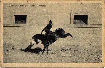 Pferd bockt Kavalierie-Schule Militär o 18.12.1908