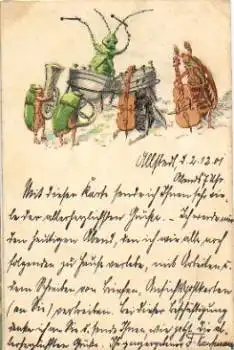 Insekten Grille Fliege Käfer machen Musik Prägekarte o 2.2.1901