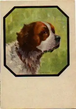 Bernhardiner Hund Künstlerkarte W. Mirker *ca. 1950