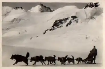 Polarhunde auf dem Aletschgletscher * ca. 1950