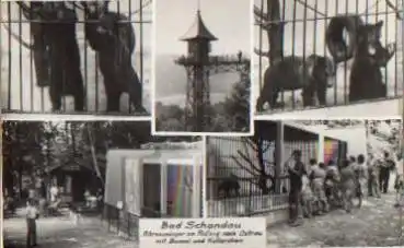 Bärenzwinger am Aufzug in Bad Schandau o 3.8.1966