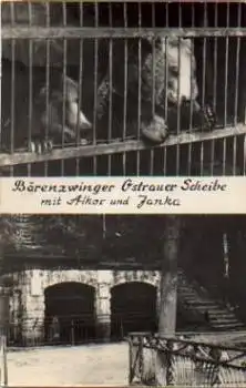 Bärenzwinger Ostrauer Scheibe mit Alko und Janka gebr. ca. 1960