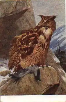 Eulen, Uhu, Künstlerkarte * ca. 1930