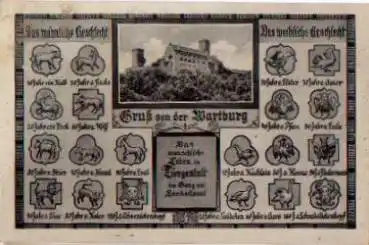 Eule Menschliche Leben in Tiergestalt Gruß von der Wartburg * ca. 1950