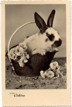 Hase im Korb Osterkarte o 5.4.1958