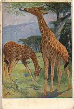 Giraffen Künstlerkarte Kutagner * ca. 1930