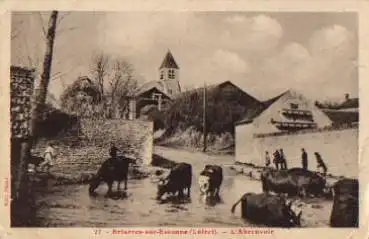 Briarres-sur-Essonne Kühe Region Centre-Val de Loire o 23.7.1940