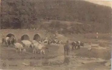 Kuh an der Tränke in St. Lambert o 13.4.1914