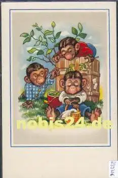 Affen Humorkarte Künstlerkarte *ca. 1960