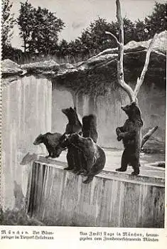 Bärenzwinger im Tierpark Hellabrunn München * ca. 1930