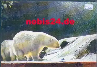Eisbären *ca.1980