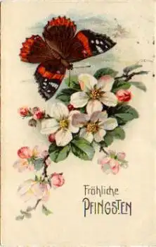 Schmetterling auf Kirschblütenzweig gebr. 18.5.1929