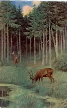 Hirsche im Wald beim Äsen, Künstlerkarte, o 20.5.1926