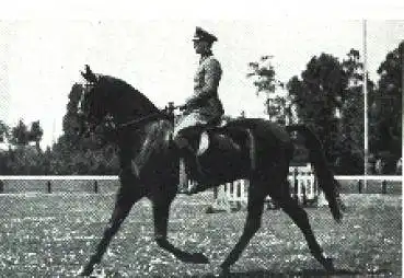 Olympische Spiele 1936 Pollay, Sieger im Dressurreiten Sammelbild, keine AK