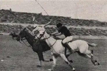 Olympische Spiele 1936, Jagd der Reiter Sammelbild, keine AK