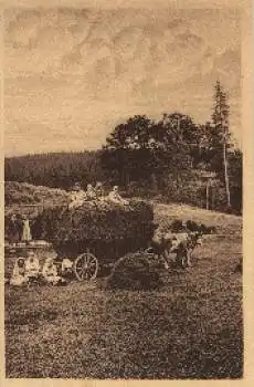 Landwirtschaft Erntehelfer auf einem Wagen mit Heu, Kuh * ca. 1925