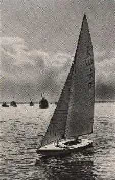 Olympische Spiele 1936 Die deutsche Jacht Wannsee Dr. Bischoff, siegte in der Startklasse