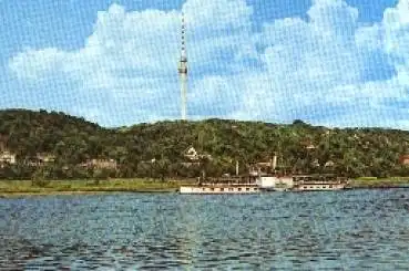 Elbdampfer "Bad Schandau" vor Hosterwitz o 5.2.1975