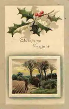 Neujahr Präge Glückwunschkarte o ca. 1912