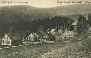 Harrachsdorf Letni byt Harrachov Riesengebirge *ca.1920
