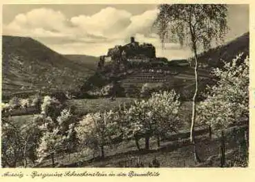 Aussig Burgruine Schreckenstein in der Baumblüte * ca. 1930