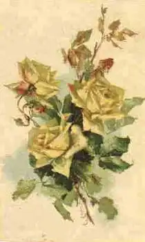 Catherina Klein gelbe Rosen Künstlerkarte o o 20.9.1914