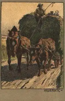 Landwirtschaft, Heuernte, Zugtiere * ca. 1900