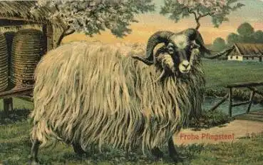 Schafe, Bienen, Künstlerkarte o 1908